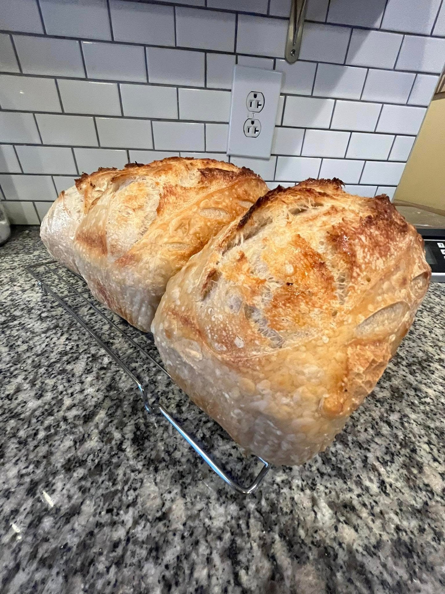 Sandwich loaves